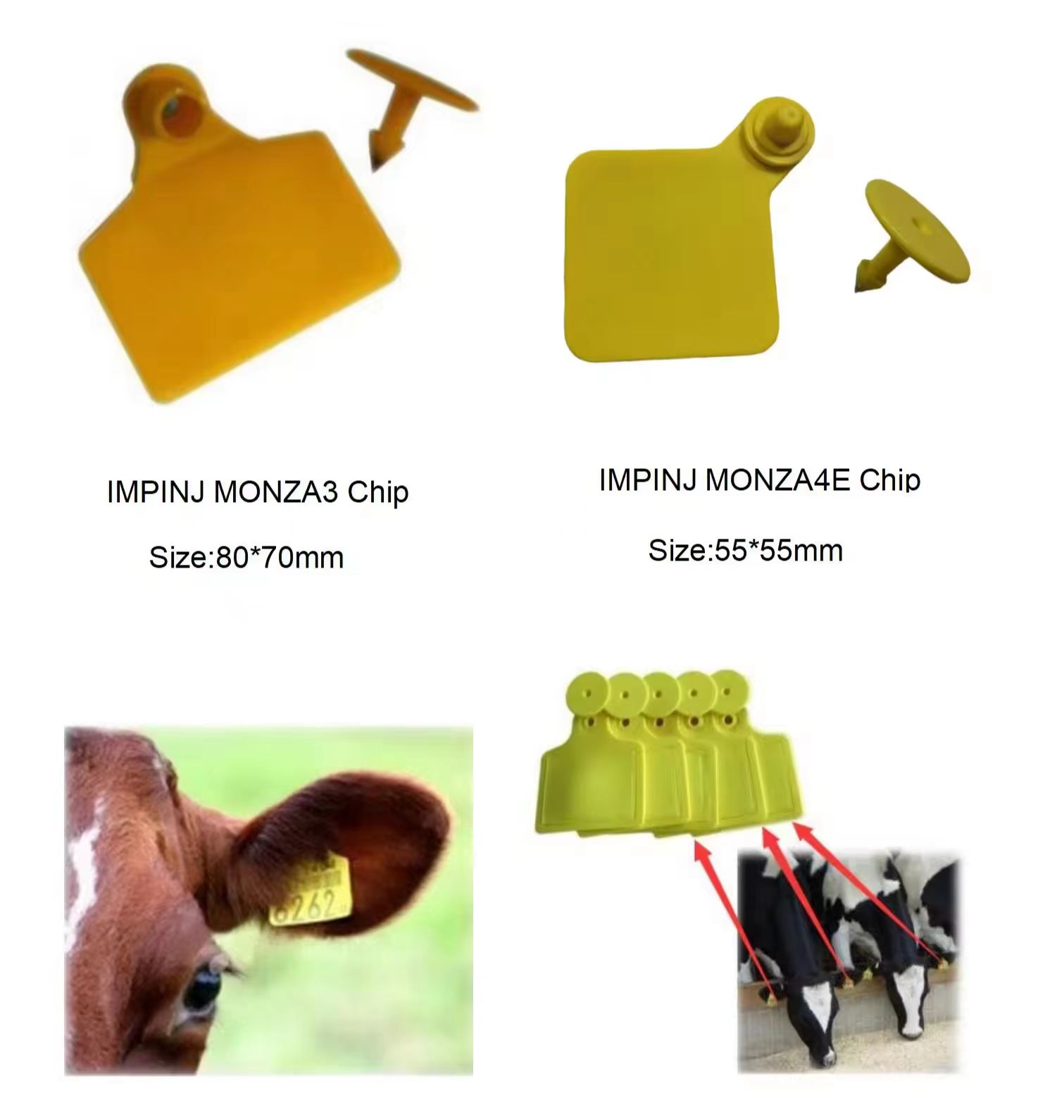 Rfid animal tracking